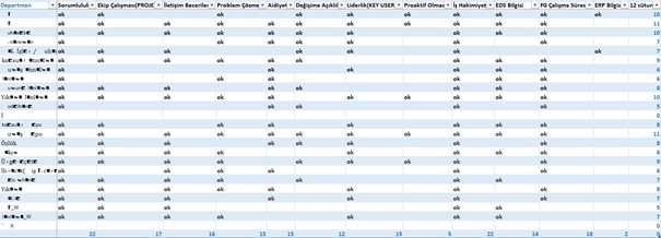 ERP Günlükleri 4 - Değer Odaklı Kurumsal Kaynak Planlama Ekip Seçimi